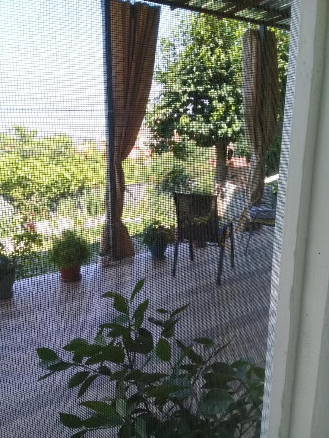 Apartment Giorgi In Szenaki Kültér fotó