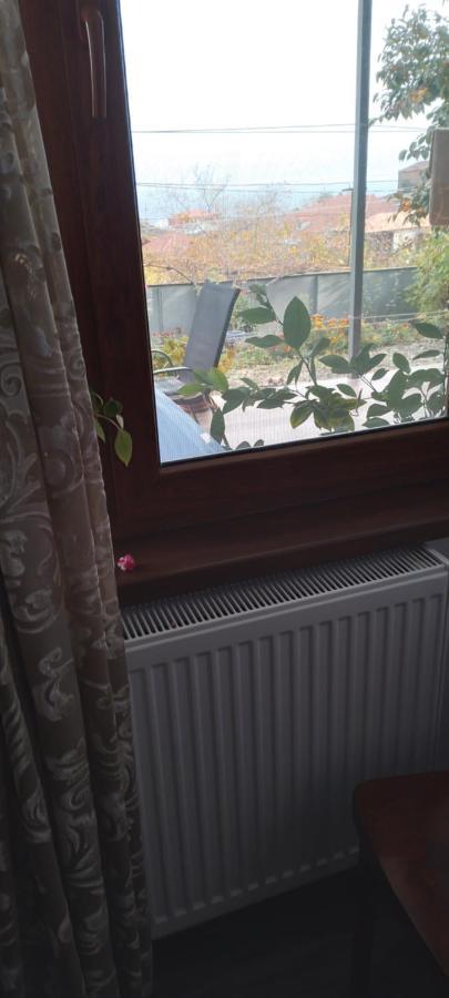 Apartment Giorgi In Szenaki Kültér fotó